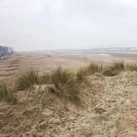 Monet 103 Close To Dunes And דירה קוקסיידה